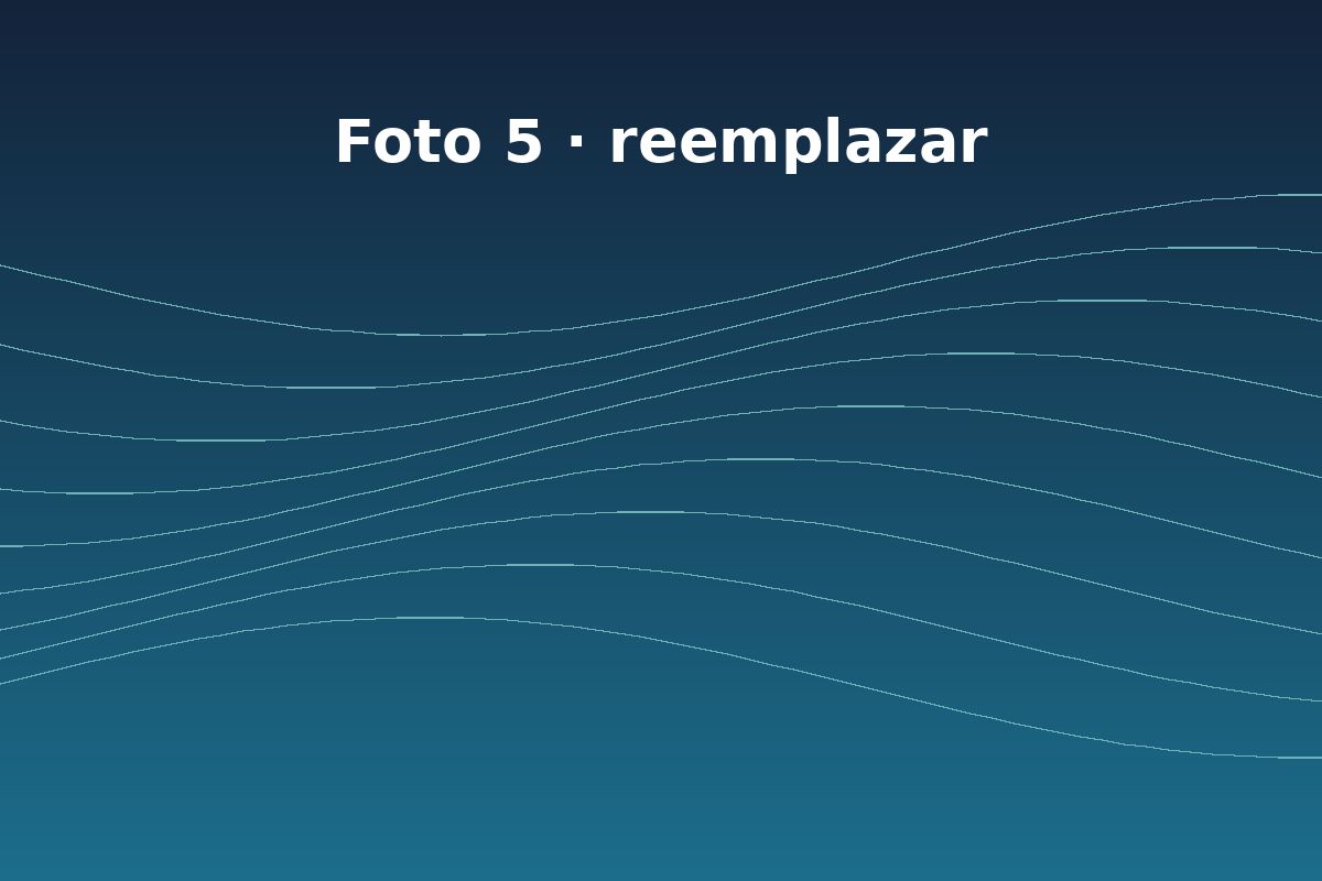 Foto 5 de ediciones anteriores del WICC