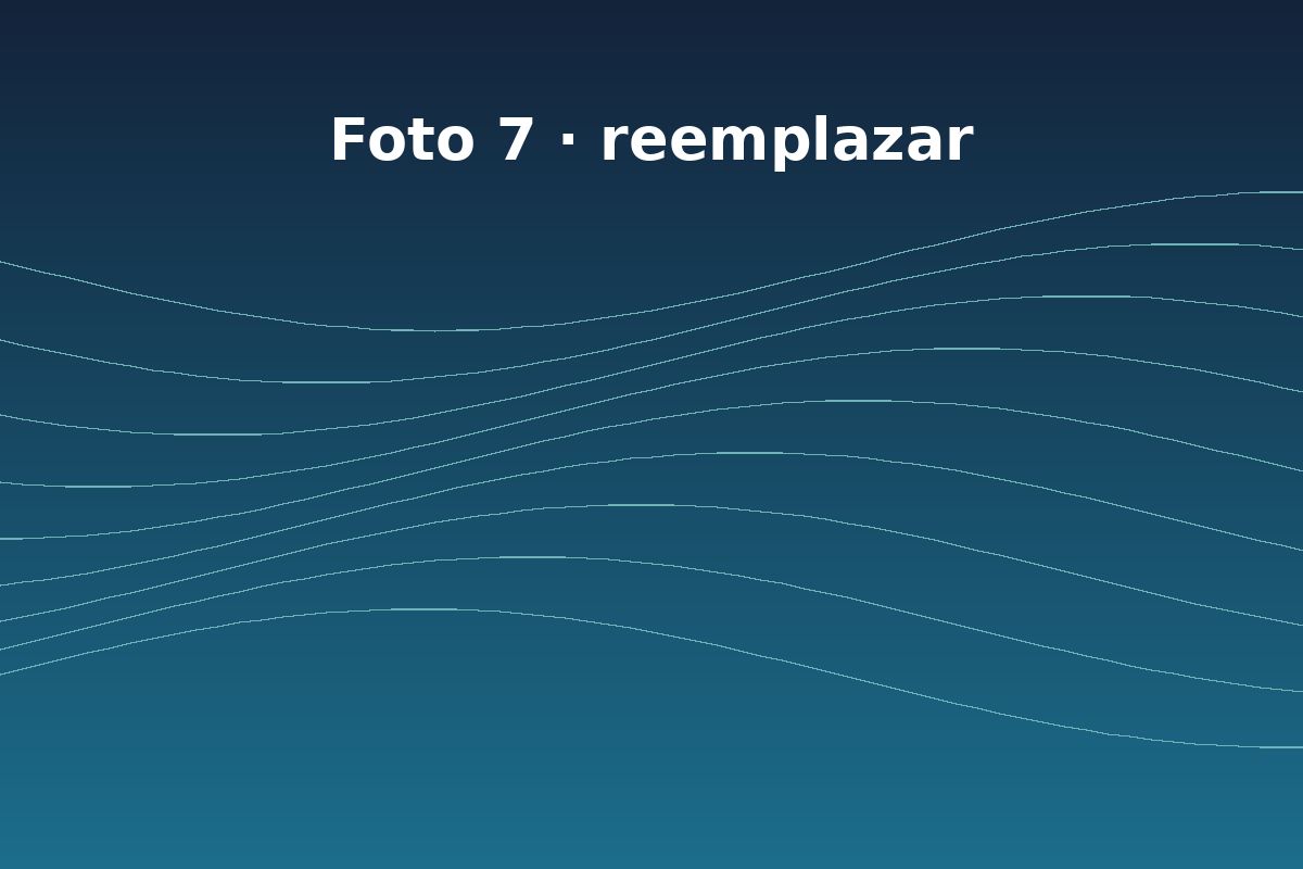 Foto 7 de ediciones anteriores del WICC